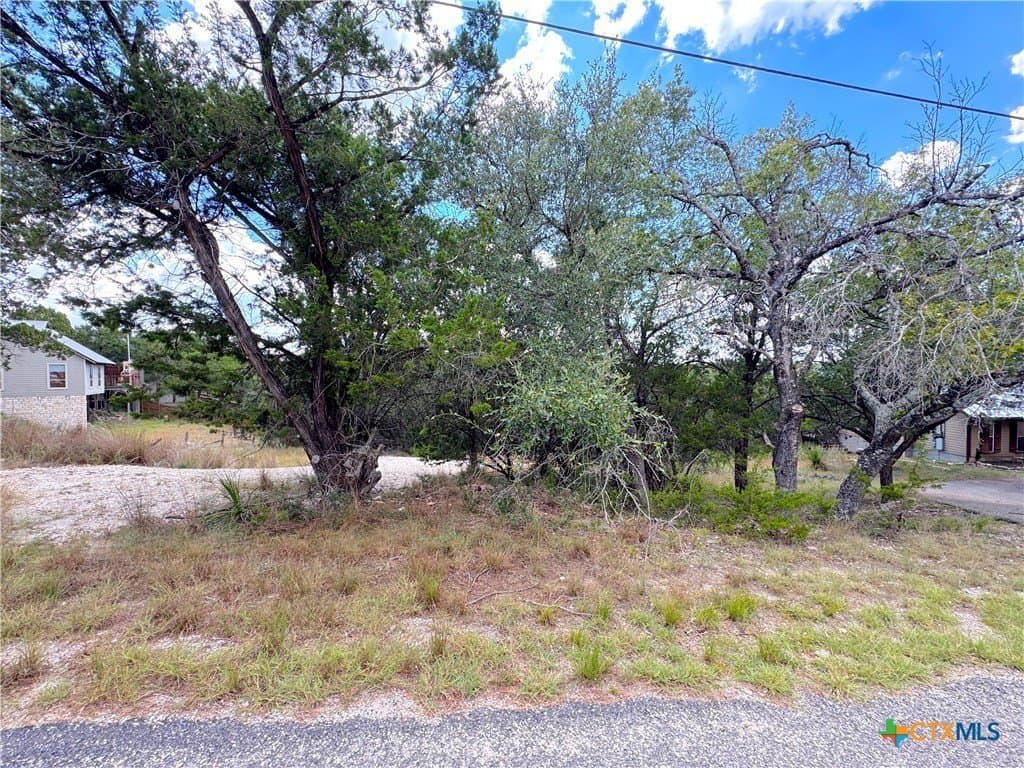 0.91 acres in Comal County - photo 9