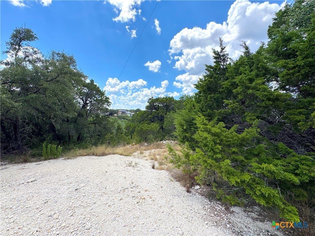 0.91 acres in Comal County - photo 6
