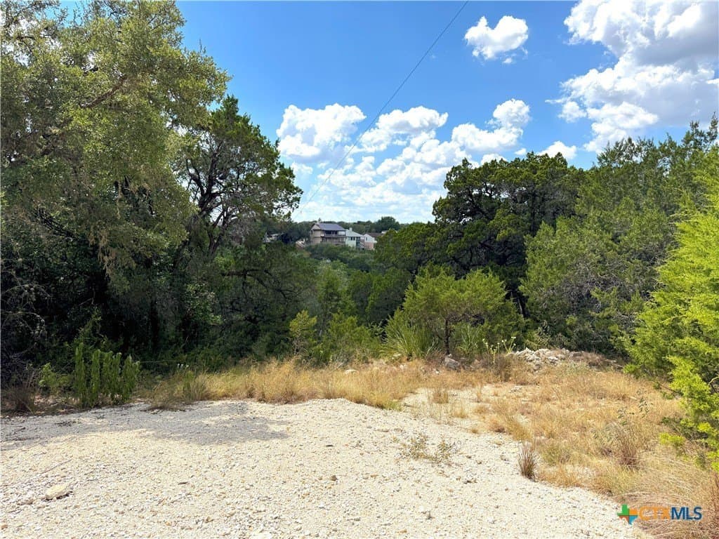 0.91 acres in Comal County - photo 14