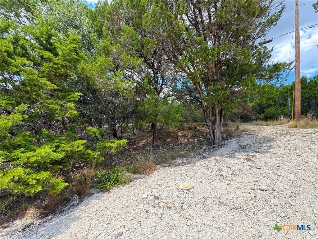 0.91 acres in Comal County - photo 11