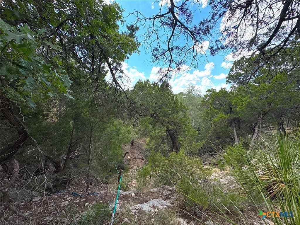 0.91 acres in Comal County - photo 4