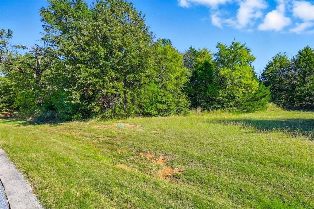0.62 acres in Grayson County - photo 6