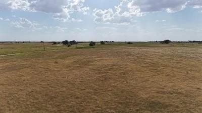 13 acres in Cooke County - photo 5