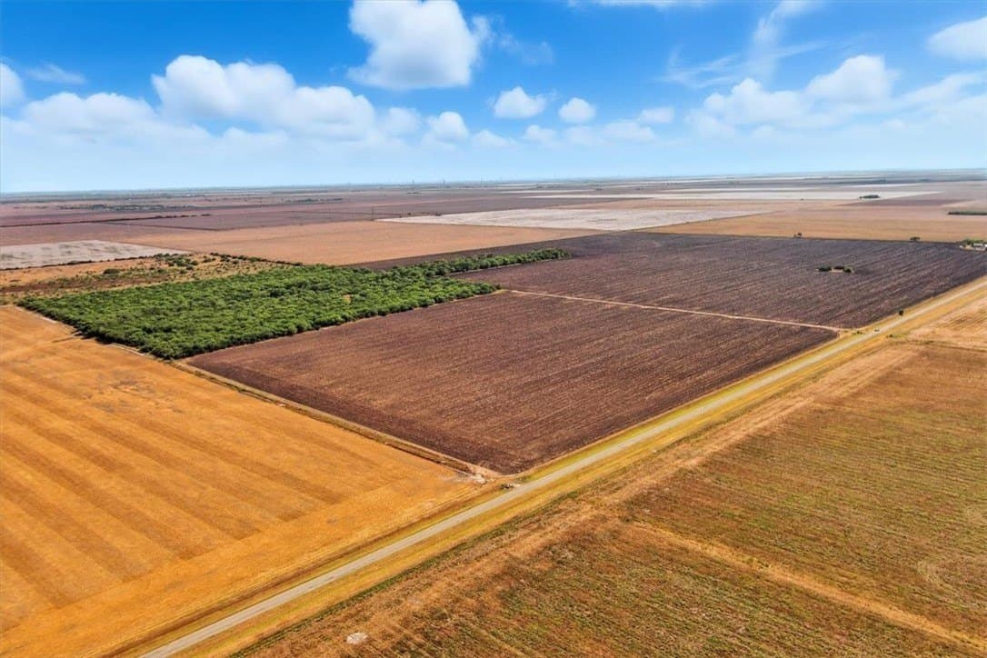 142 acres in San Patricio County - photo 4