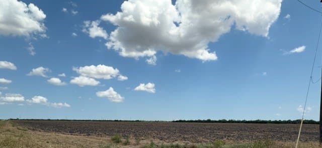 142 acres in San Patricio County - photo 8