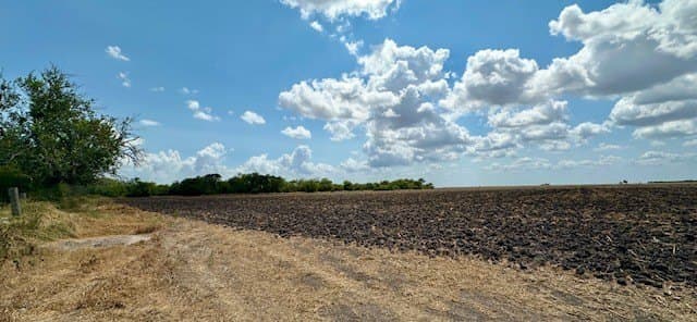 142 acres in San Patricio County - photo 7