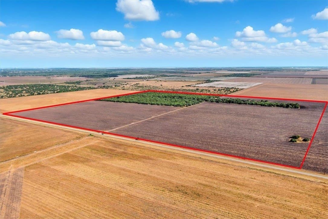 142 acres in San Patricio County - photo 6