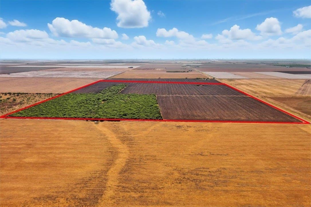 142 acres in San Patricio County - photo 2