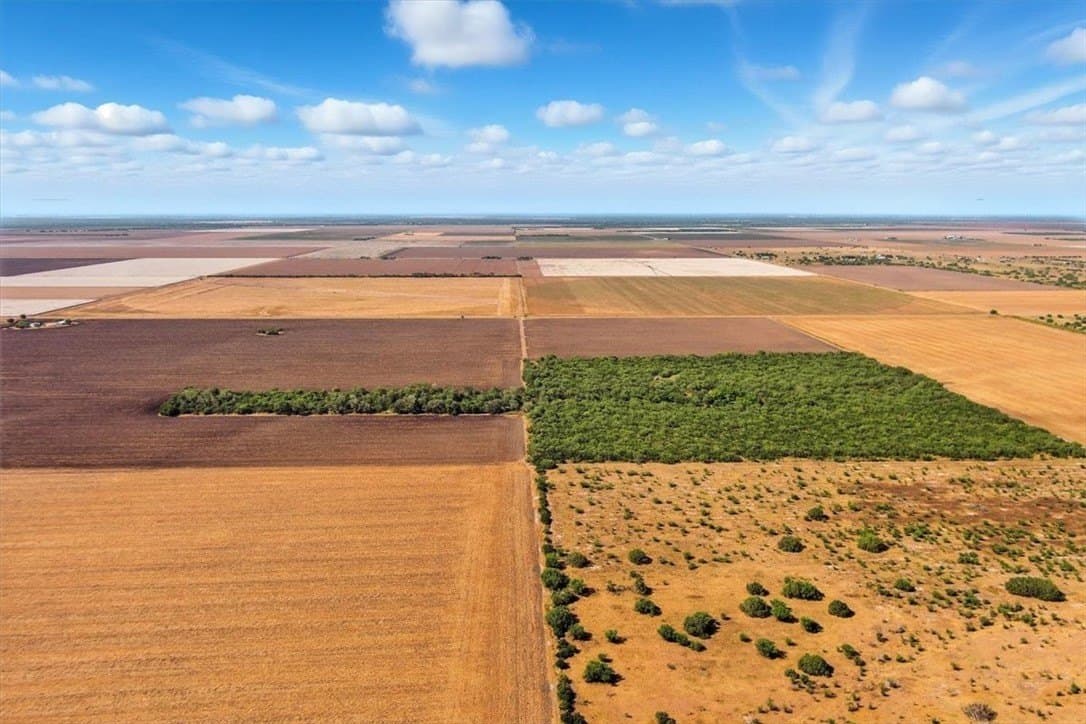 142 acres in San Patricio County - photo 3