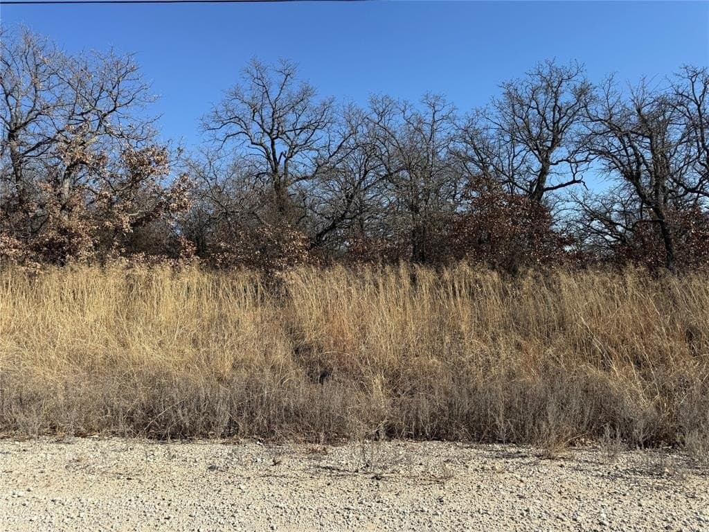 0.26 acres in Montague County - photo 2