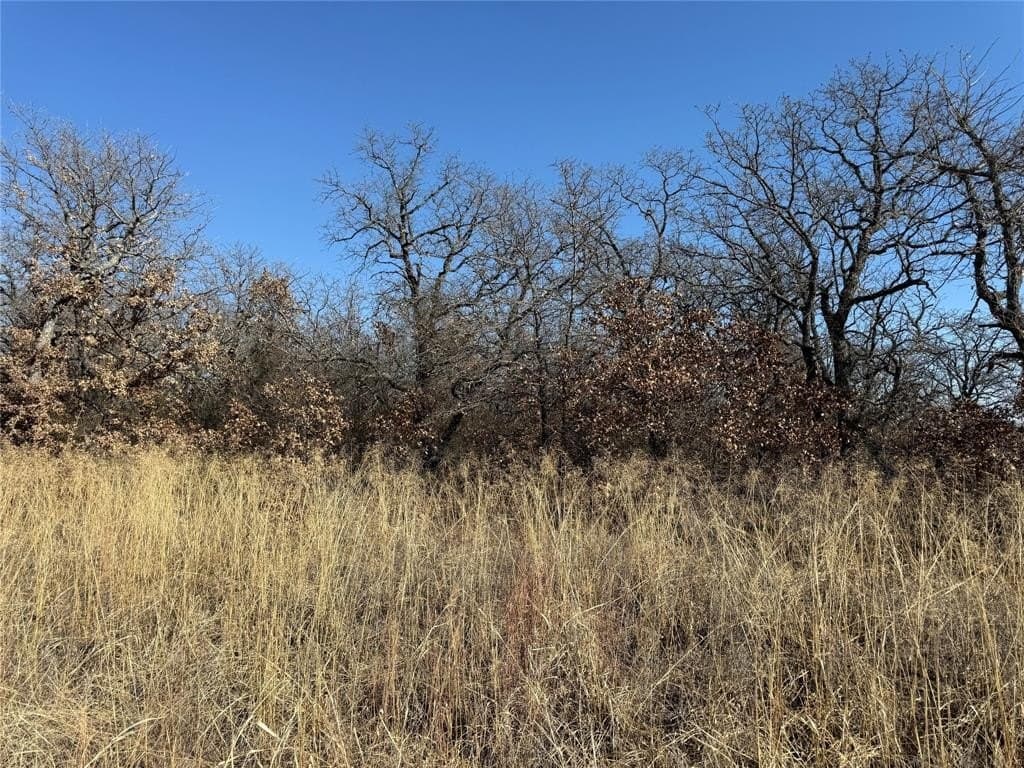0.26 acres in Montague County - photo 3