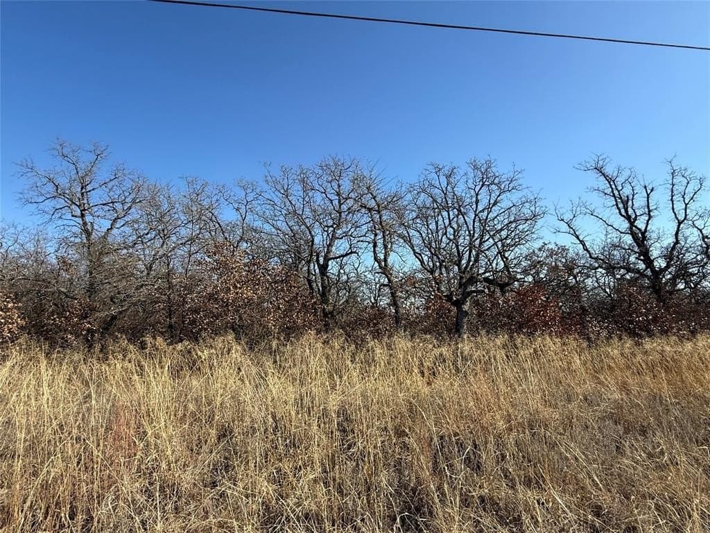 0.26 acres in Montague County - photo 4