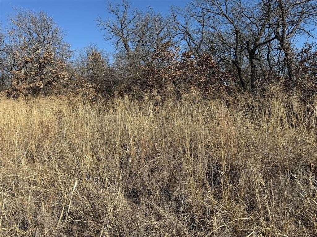 0.26 acres in Montague County - photo 5