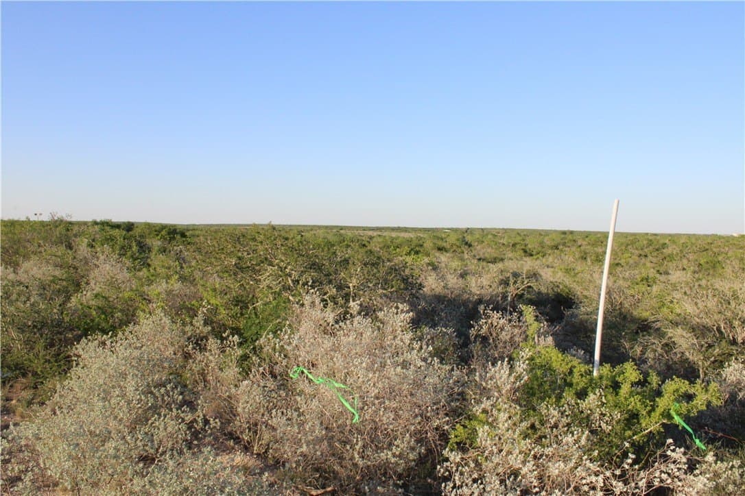 28.57 acres in Duval County - photo 21