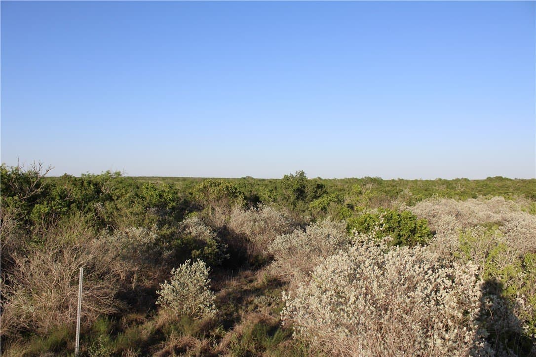28.57 acres in Duval County - photo 4