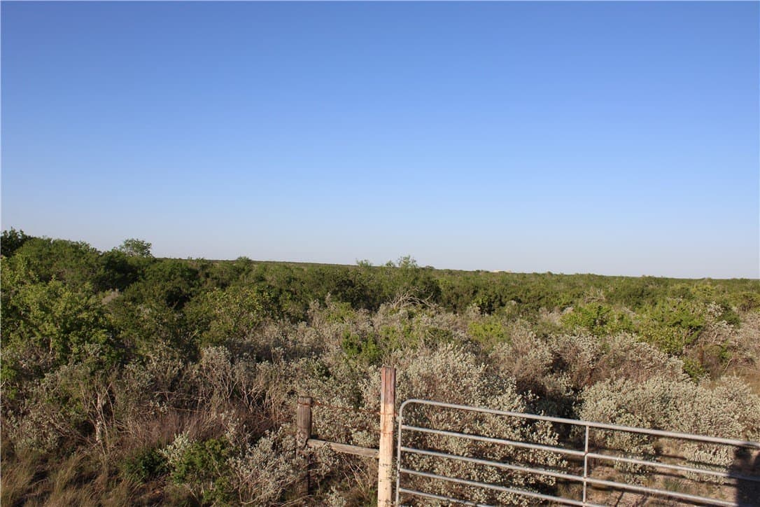 28.57 acres in Duval County - photo 9