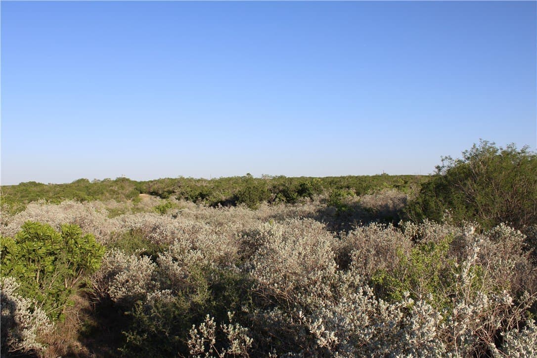 28.57 acres in Duval County - photo 12