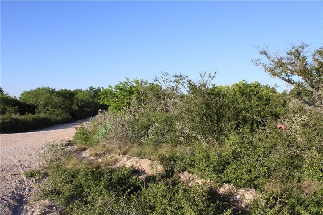 28.57 acres in Duval County - photo 6