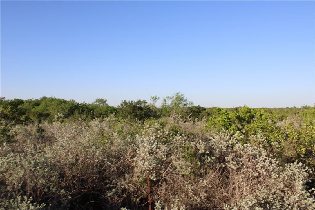 28.57 acres in Duval County - photo 11