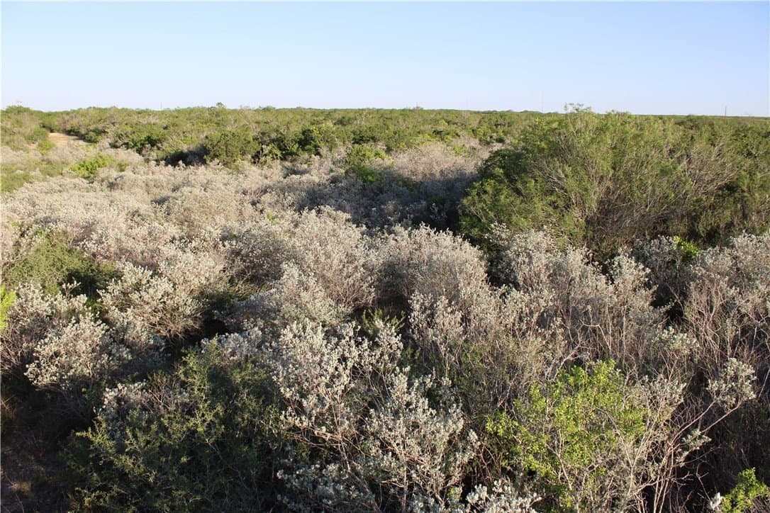 28.57 acres in Duval County - photo 3