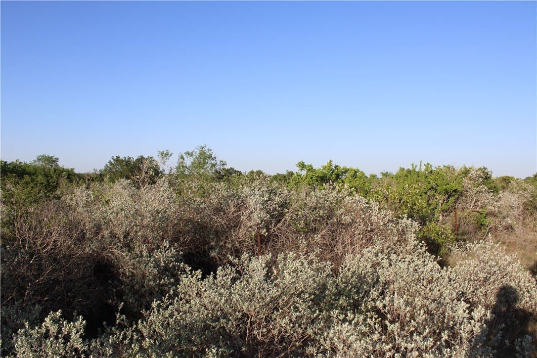 28.57 acres in Duval County - photo 10