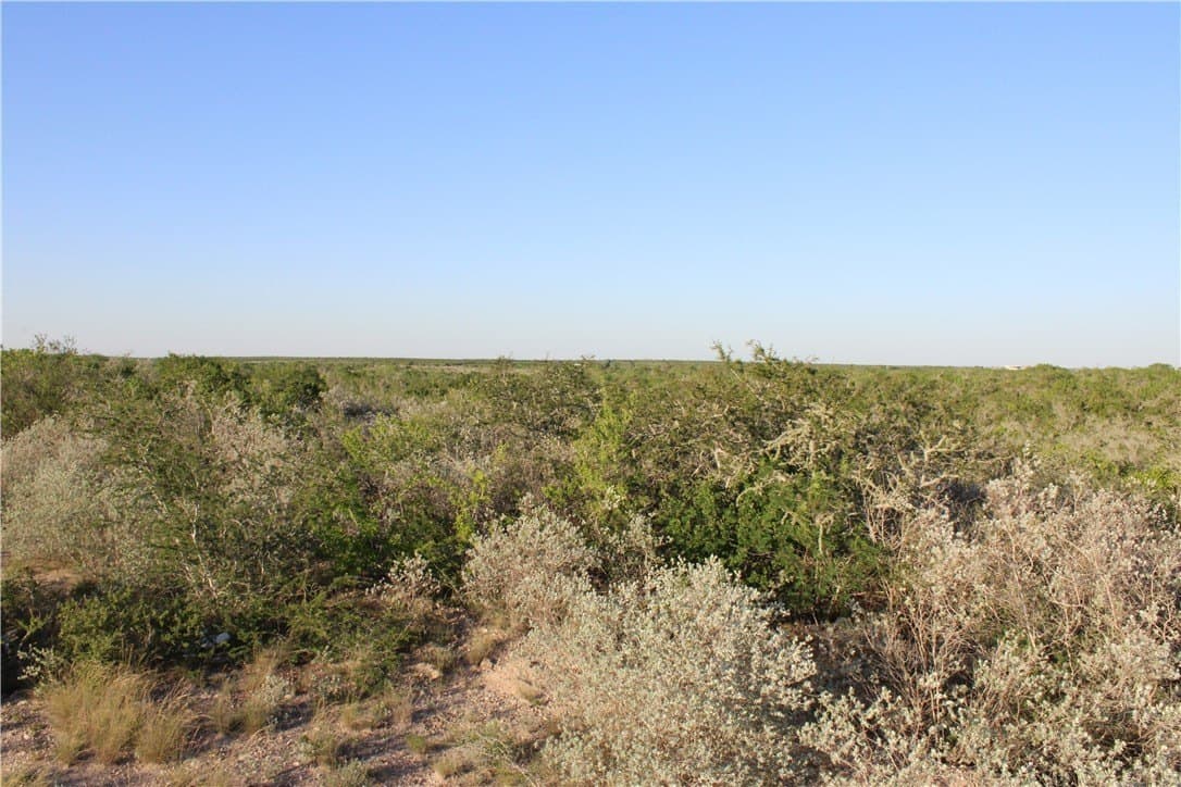 28.57 acres in Duval County - photo 20