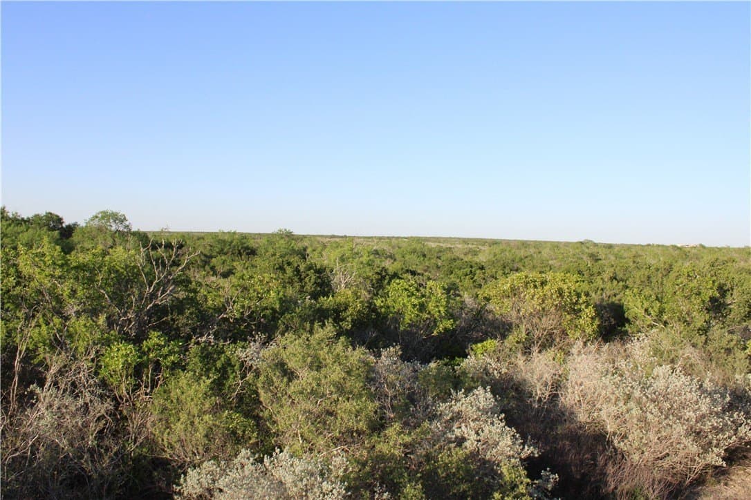 28.57 acres in Duval County - photo 14