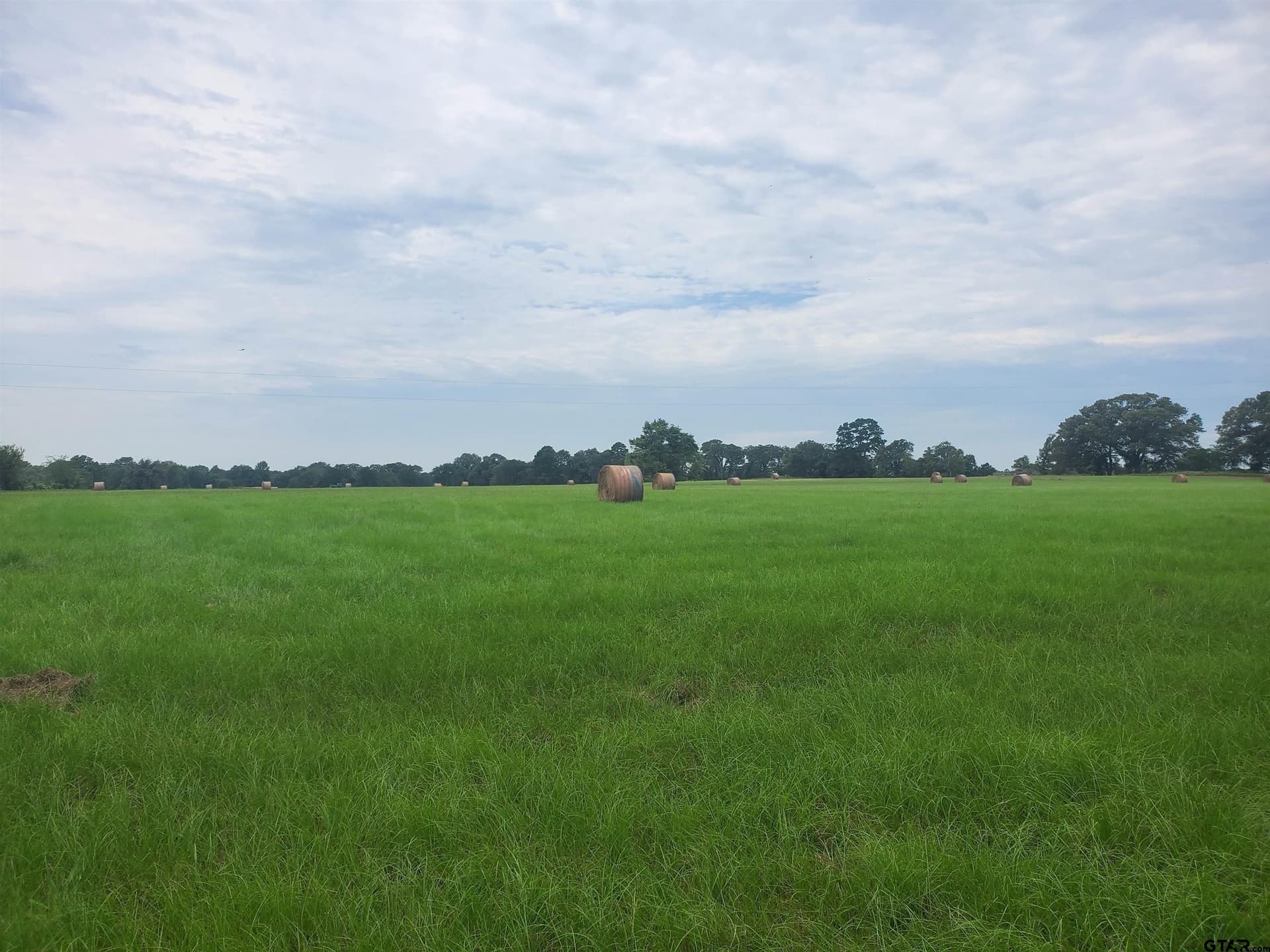30 acres in Henderson County - photo 5