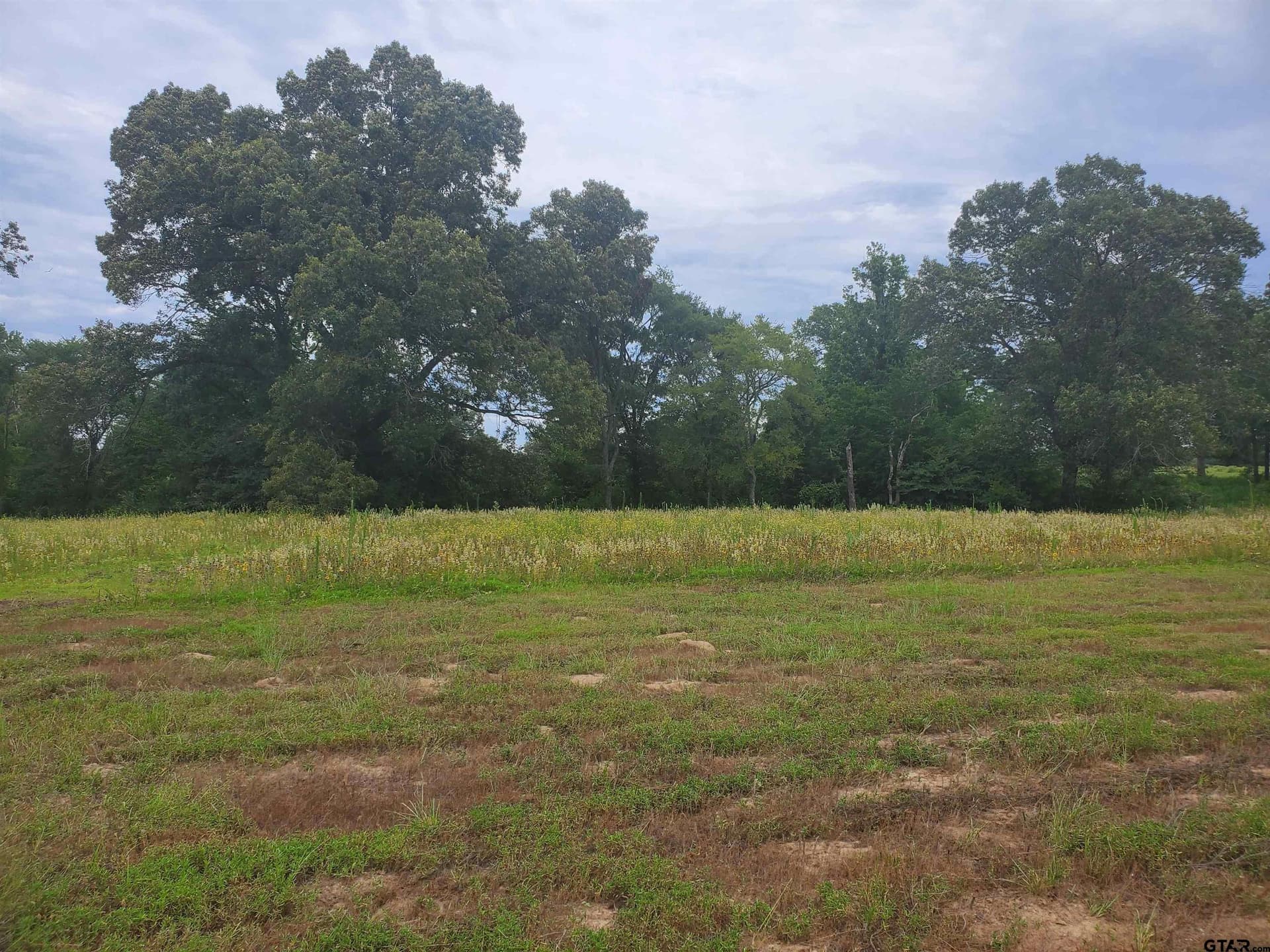30 acres in Henderson County - photo 9