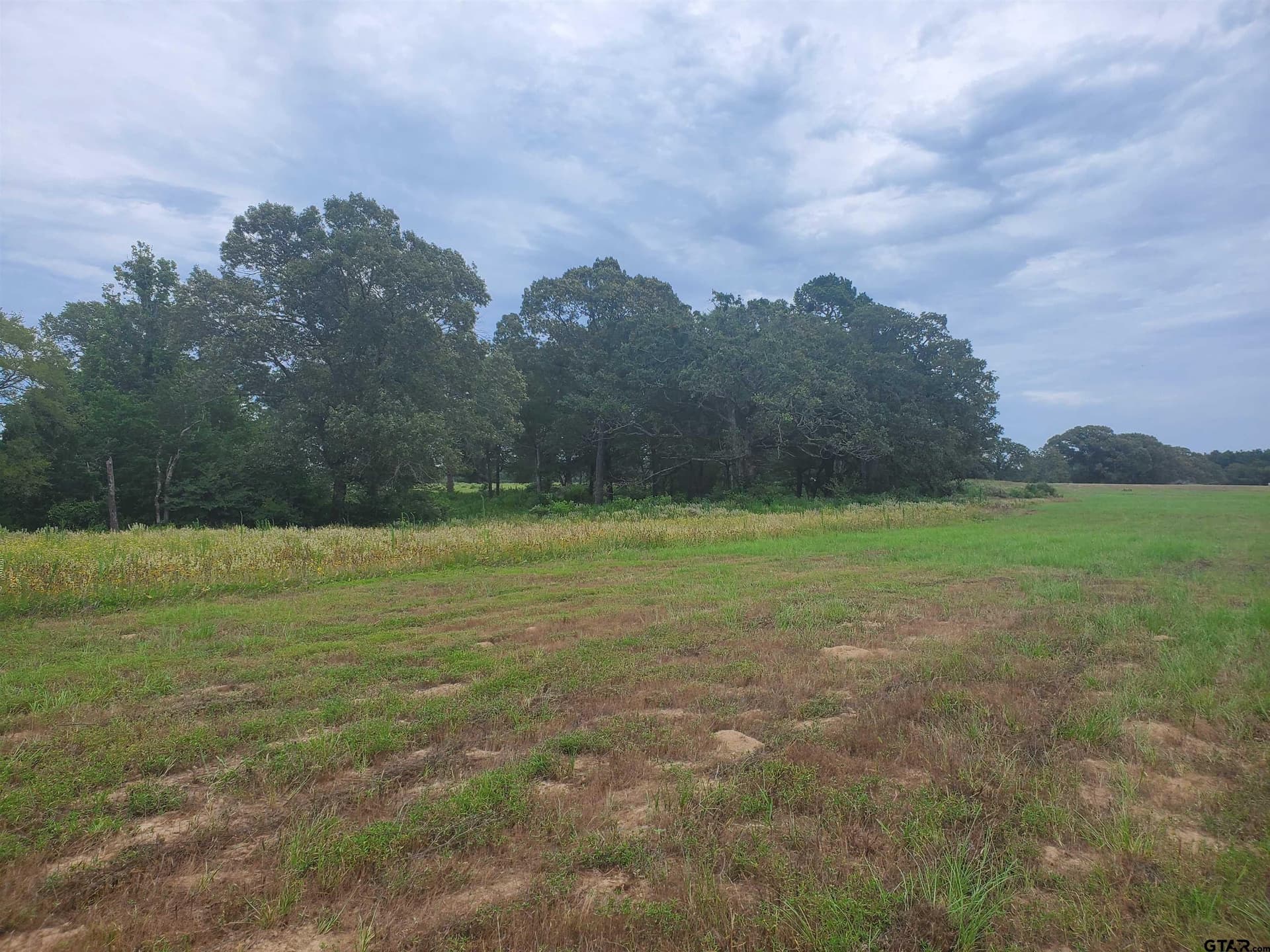 30 acres in Henderson County - photo 10
