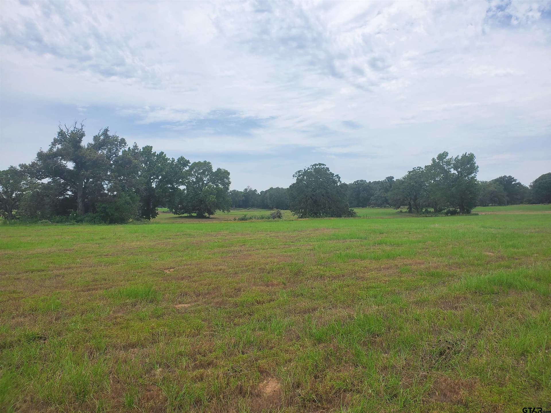 30 acres in Henderson County - photo 16