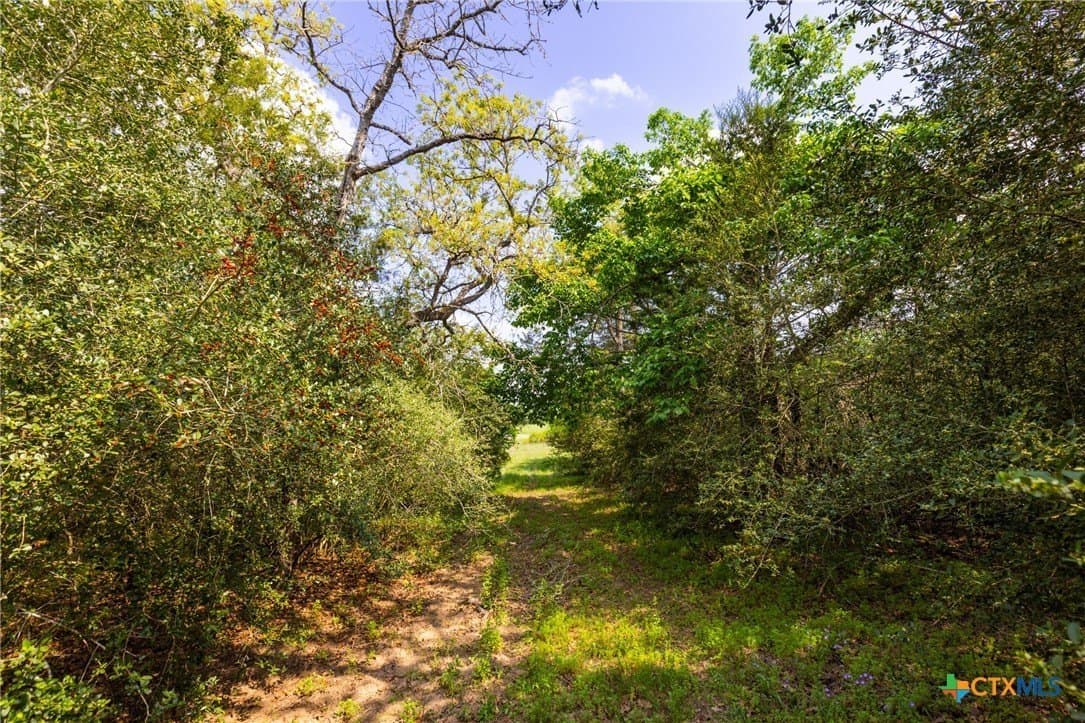 50 acres in Gonzales County - photo 8