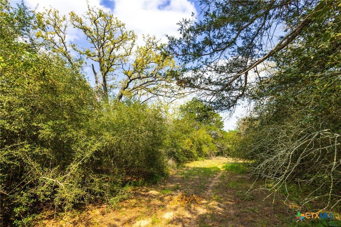 50 acres in Gonzales County - photo 7