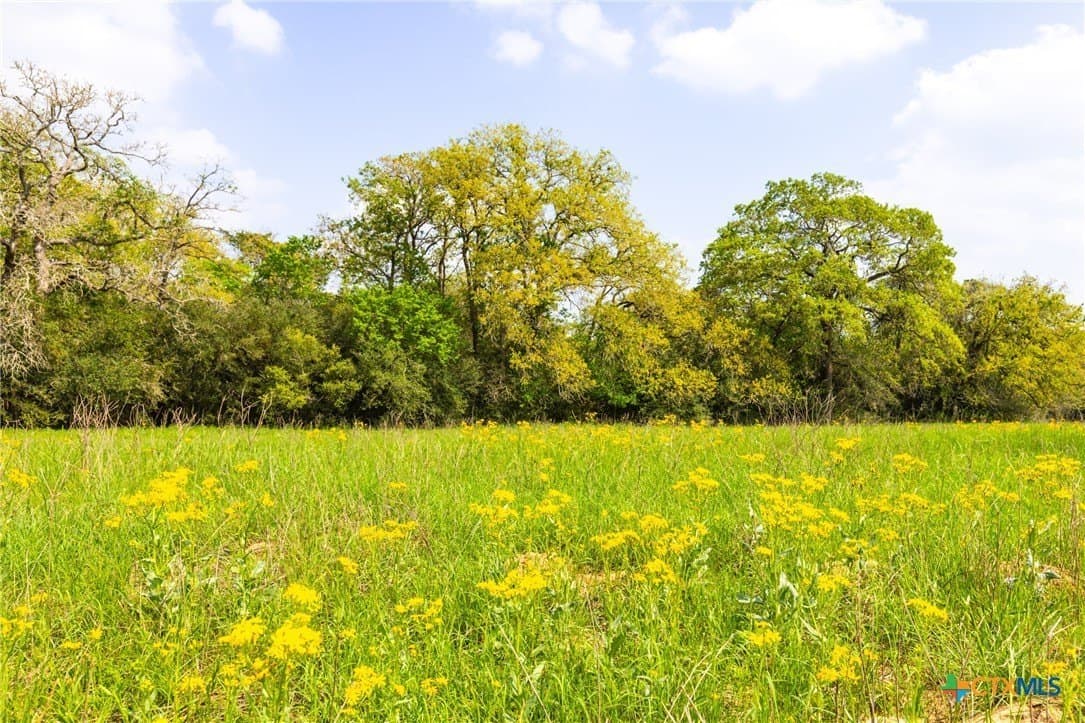 50 acres in Gonzales County - photo 6