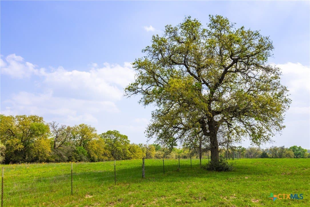 50 acres in Gonzales County - photo 14