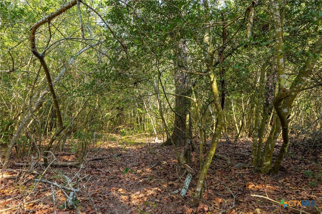 50 acres in Gonzales County - photo 9