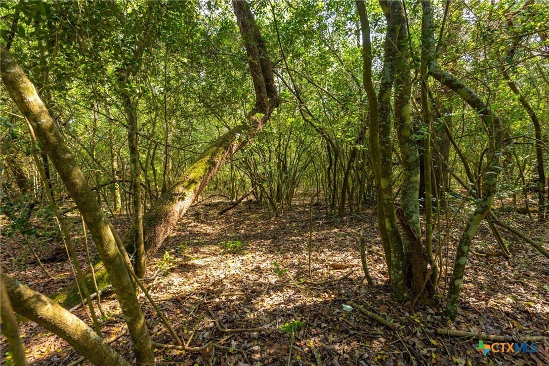 50 acres in Gonzales County - photo 10
