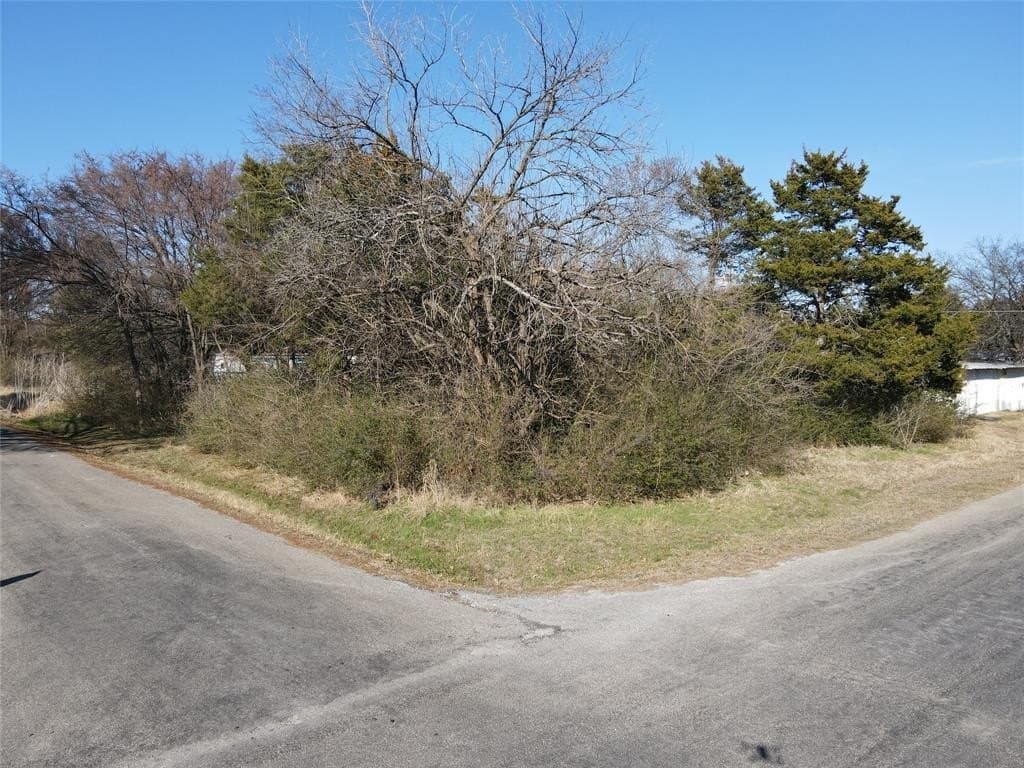 0.23 acres in Grayson County - photo 2