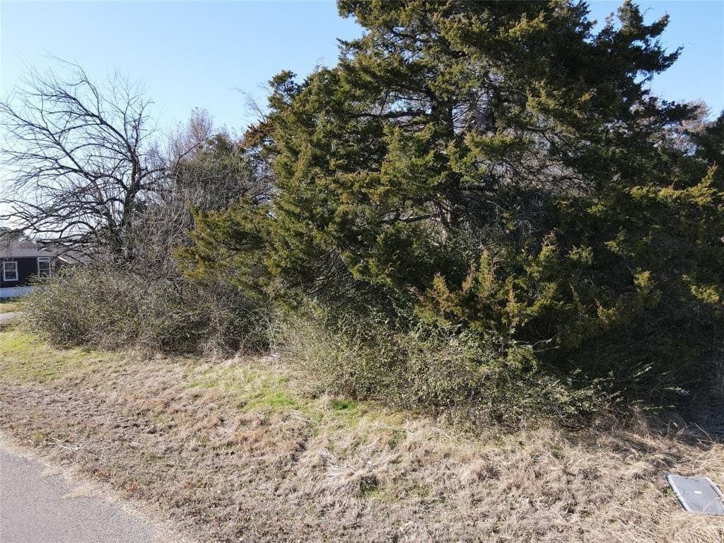 0.23 acres in Grayson County - photo 16