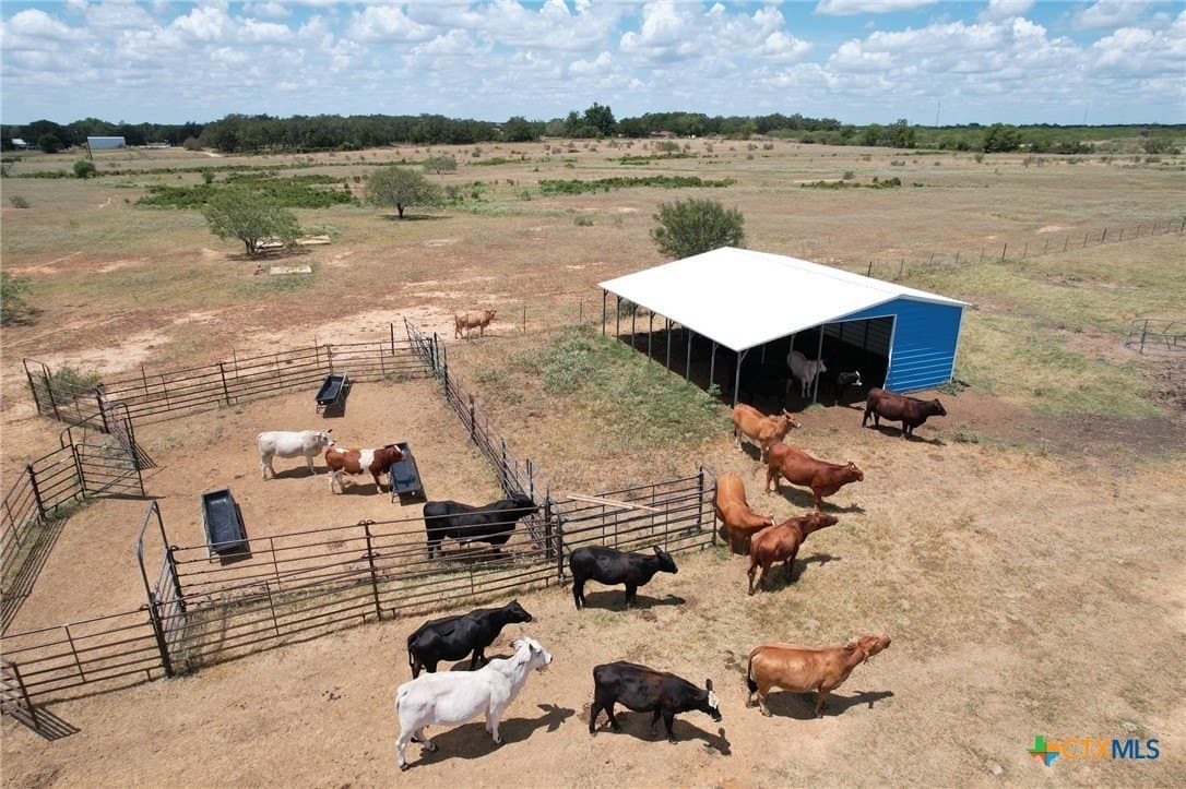 27.96 acres in Milam County - photo 11