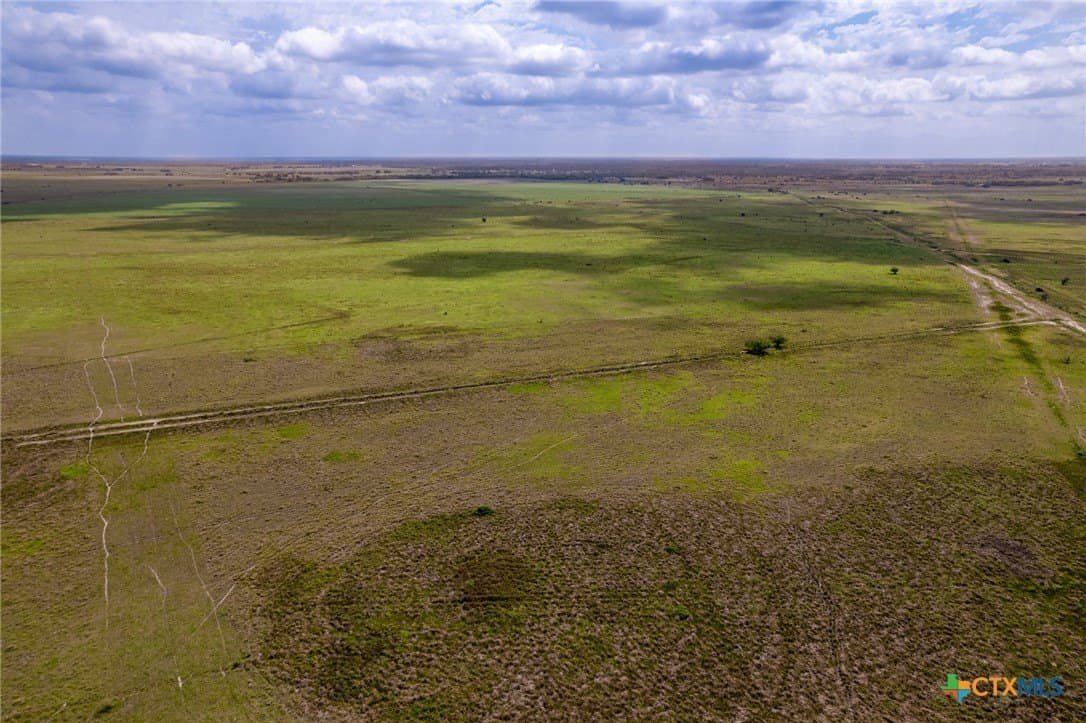 363.75 acres in Victoria County - photo 11