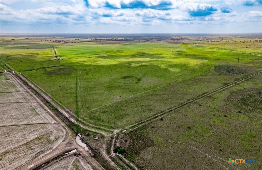 363.75 acres in Victoria County - photo 4