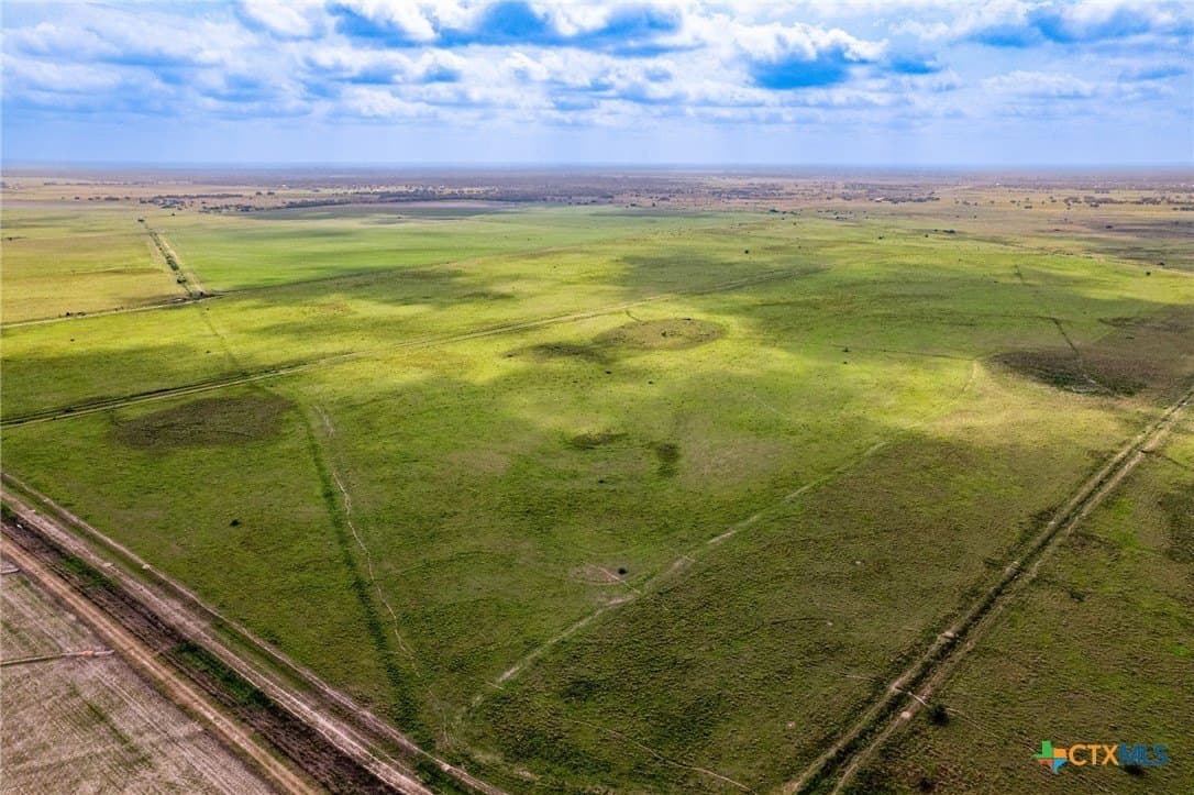 363.75 acres in Victoria County - photo 9