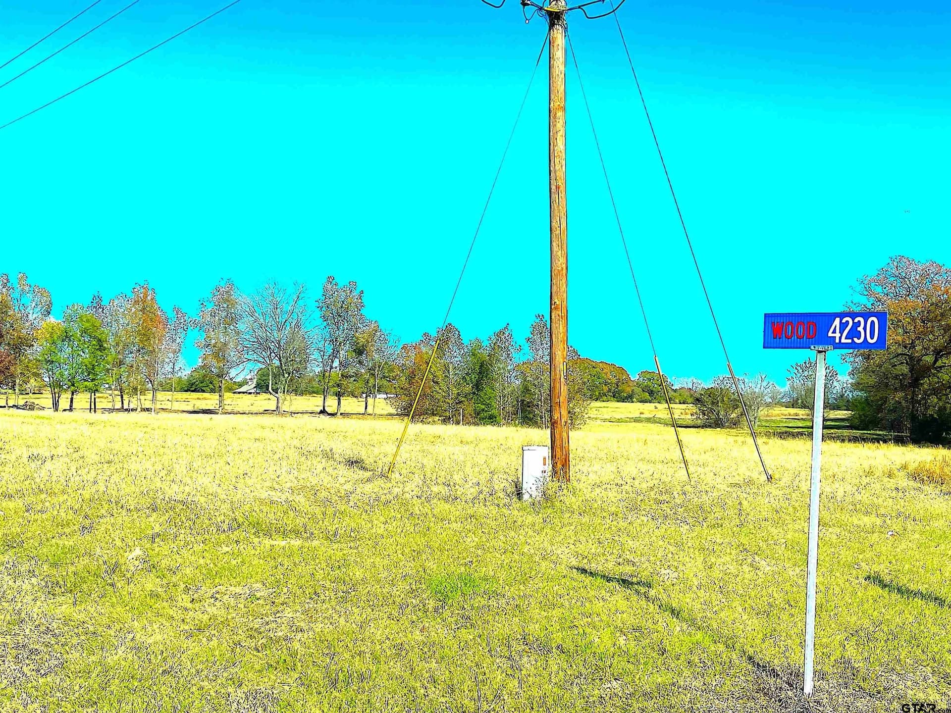 10 acres in Wood County - photo 5