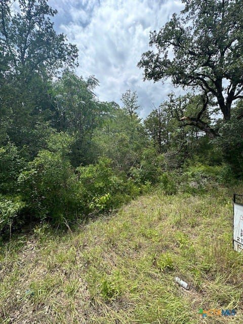 1.6 acres in Bastrop County - photo 6