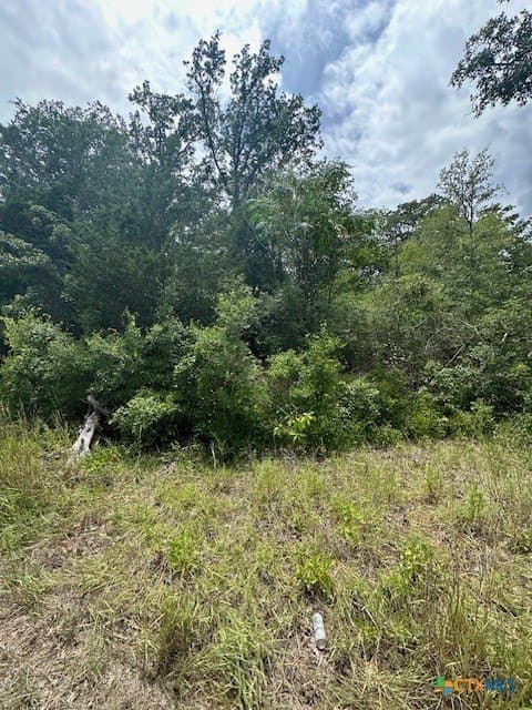1.6 acres in Bastrop County - photo 5