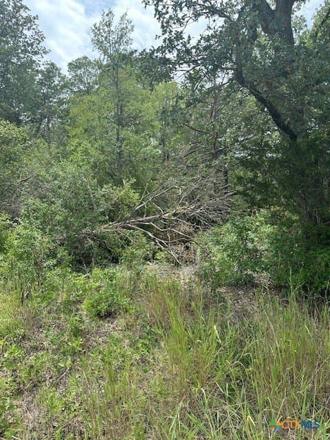 1.6 acres in Bastrop County - photo 2