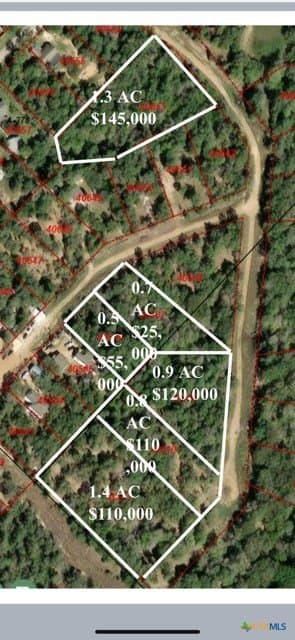 1.6 acres in Bastrop County - photo 7
