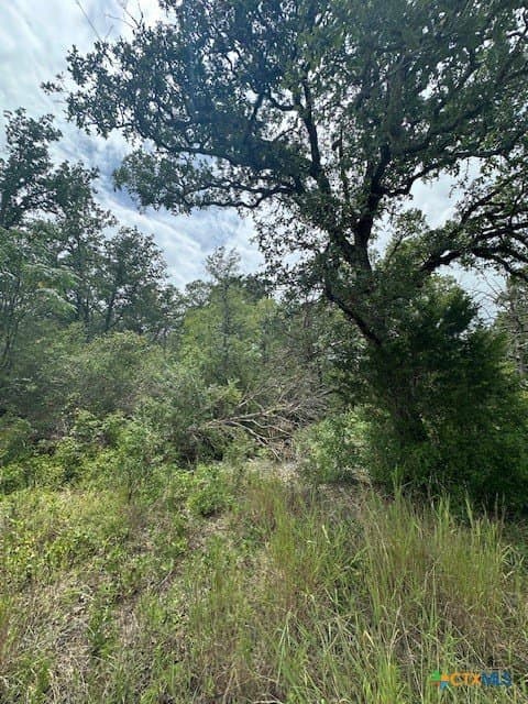 1.6 acres in Bastrop County - photo 3