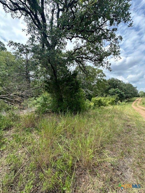 1.6 acres in Bastrop County - photo 4